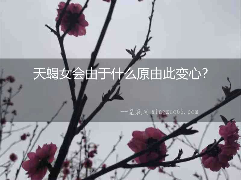 天蝎女會由于什么原由此變心？