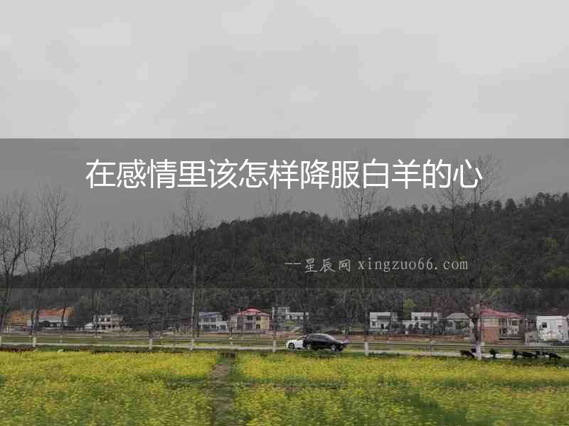 在感情里該怎樣降服白羊的心