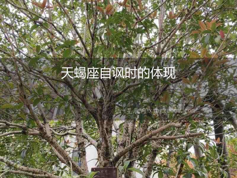 天蝎座自諷時的體現