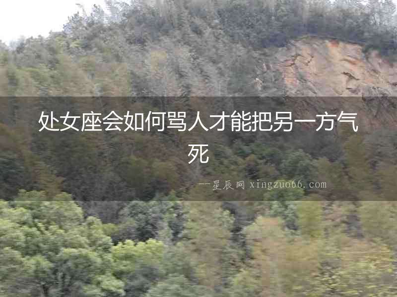 處女座會如何罵人才能把另一方氣死