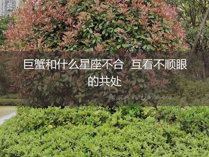 巨蟹和什么星座不合  互看不順眼的共處