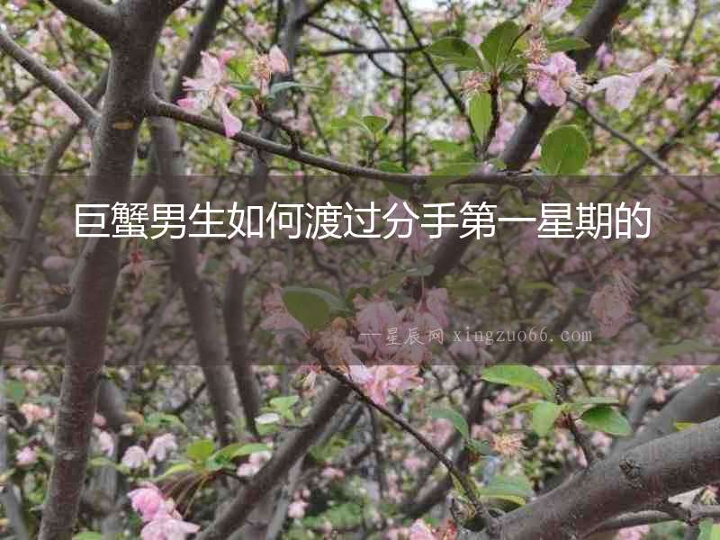 巨蟹男生如何渡過(guò)分手第一星期的