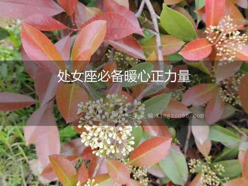 處女座必備暖心正力量