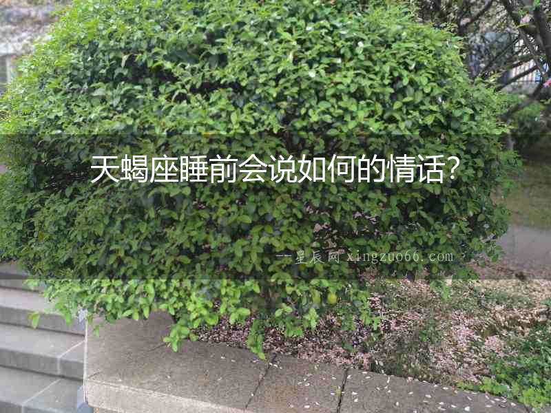 天蝎座睡前會說如何的情話？