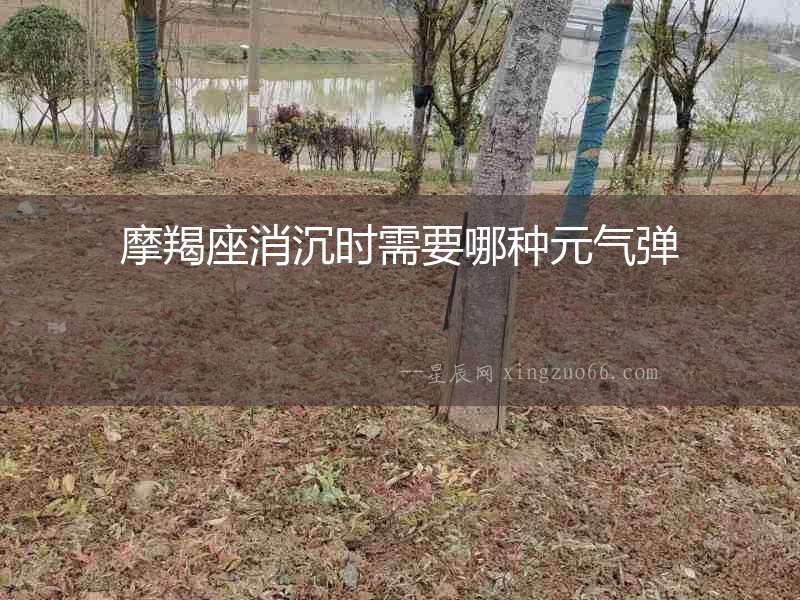 摩羯座消沉?xí)r需要哪種元氣彈
