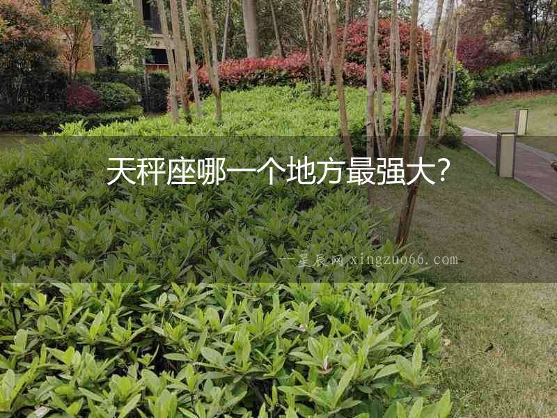 天秤座哪一個地方最強大？