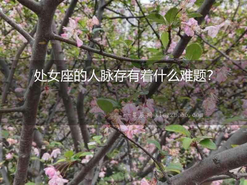 處女座的人脈存有著什么難題？