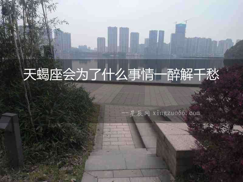 天蝎座會為了什么事情一醉解千愁