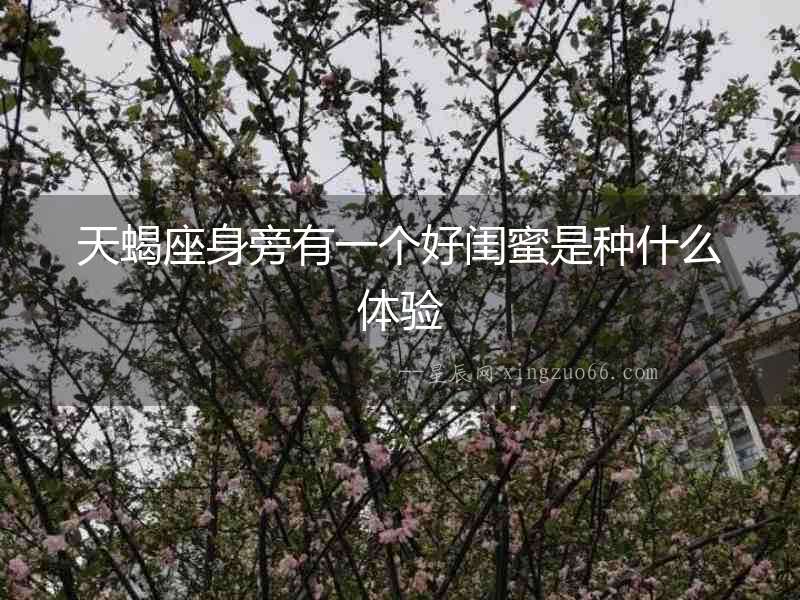 天蝎座身旁有一個好閨蜜是種什么體驗