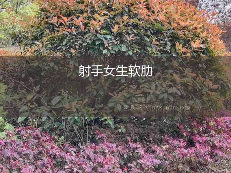 射手女生軟肋