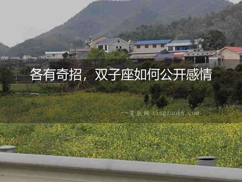 各有奇招，雙子座如何公開感情