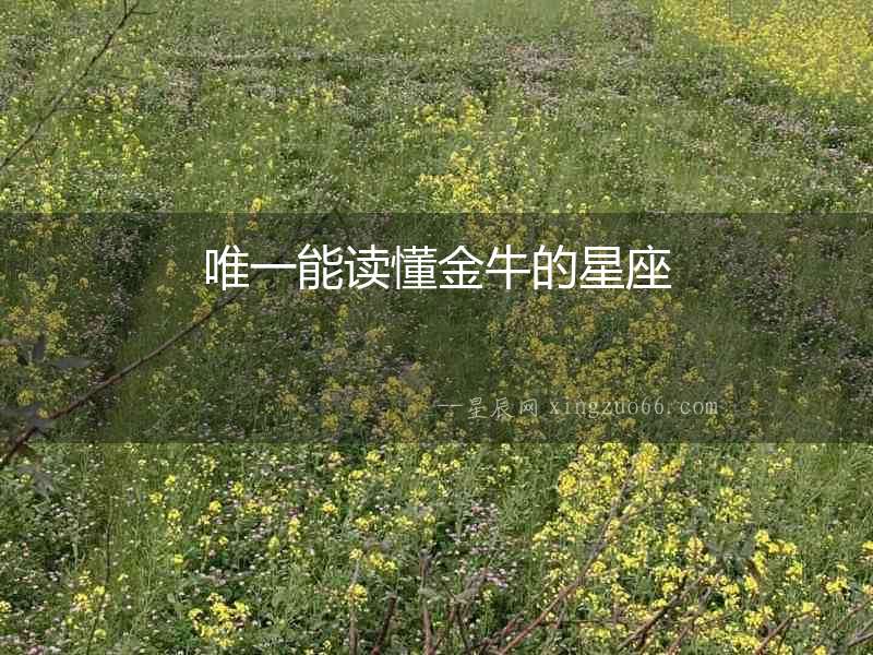 唯一能讀懂金牛的星座