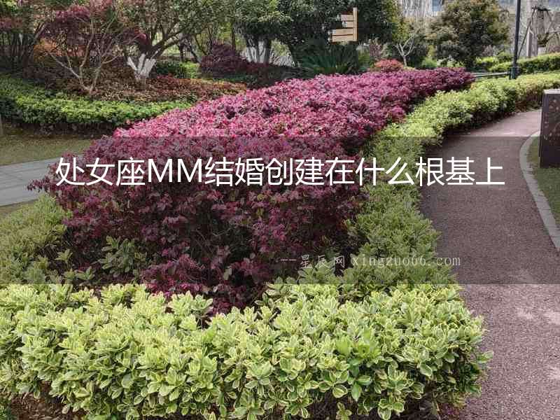 處女座MM結婚創建在什么根基上