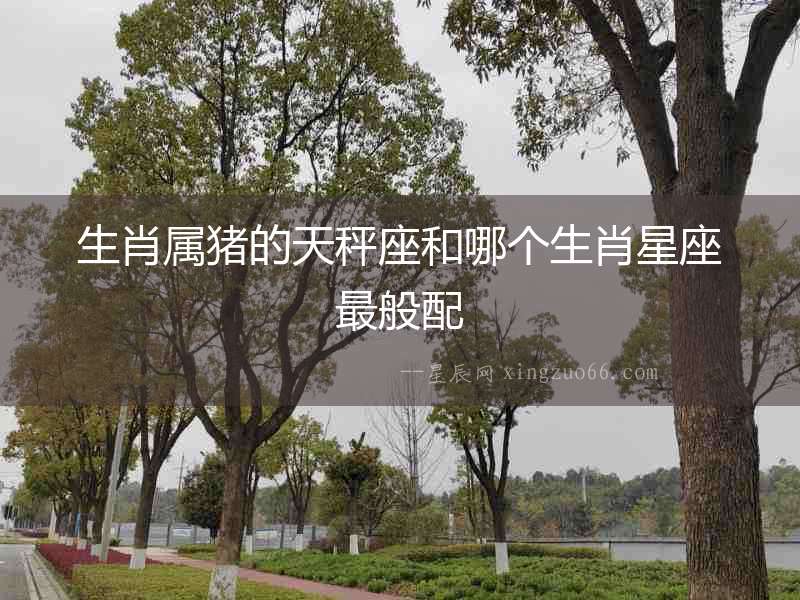 生肖屬豬的天秤座和哪個生肖星座最般配