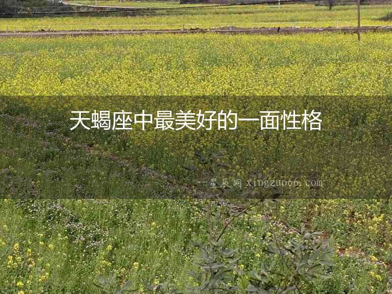天蝎座中最美好的一面性格