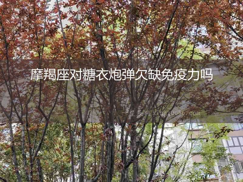 摩羯座對糖衣炮彈欠缺免疫力嗎