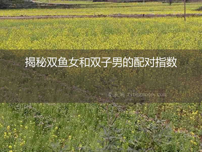 揭秘雙魚女和雙子男的配對指數