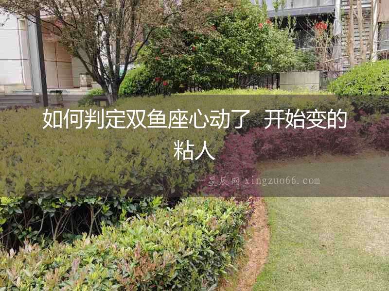 如何判定雙魚座心動了  開始變的粘人