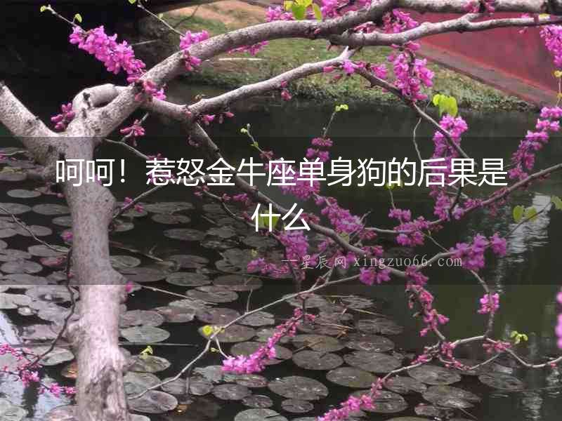 呵呵！惹怒金牛座單身狗的后果是什么