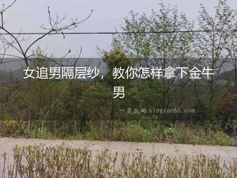 女追男隔層紗，教你怎樣拿下金牛男