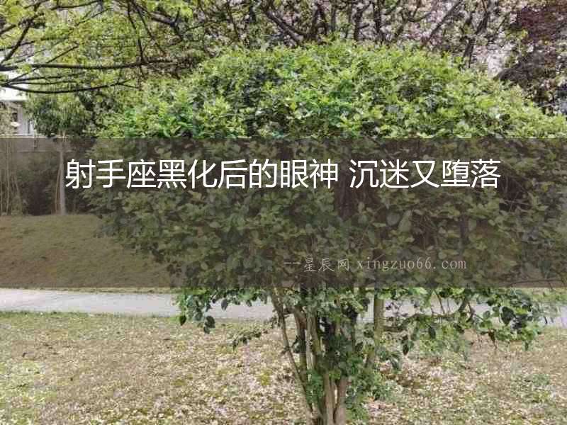 射手座黑化后的眼神 沉迷又墮落