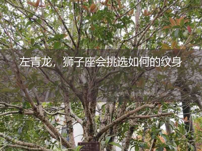 左青龍，獅子座會挑選如何的紋身