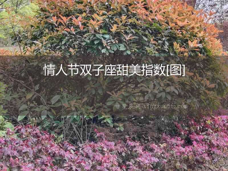 情人節(jié)雙子座甜美指數(shù)[圖]