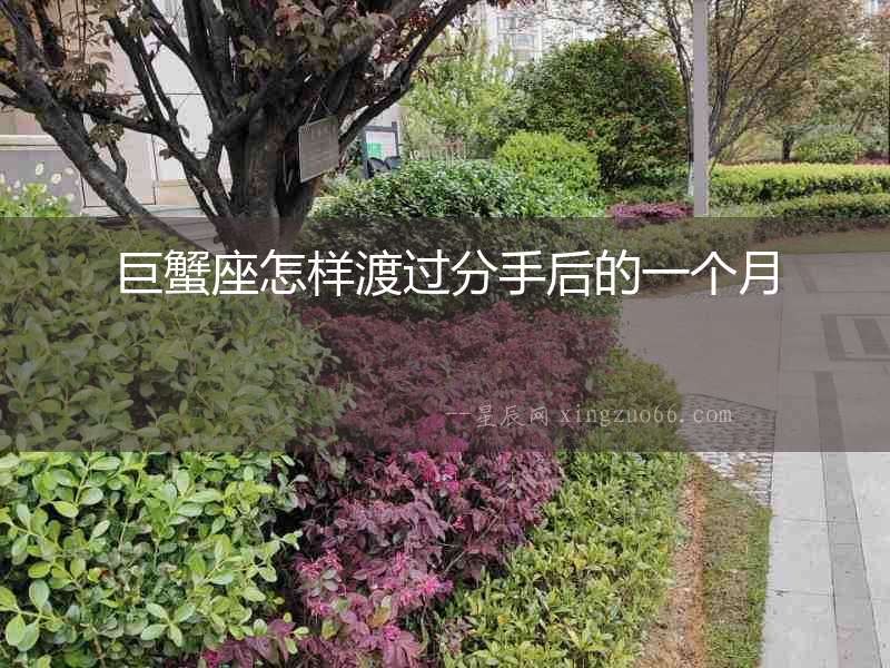 巨蟹座怎樣渡過分手后的一個月