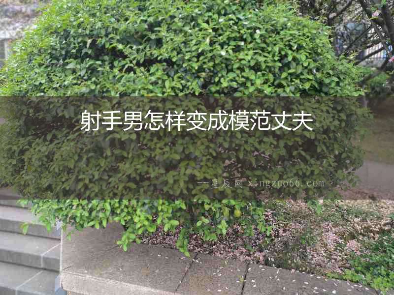 射手男怎樣變成模范丈夫