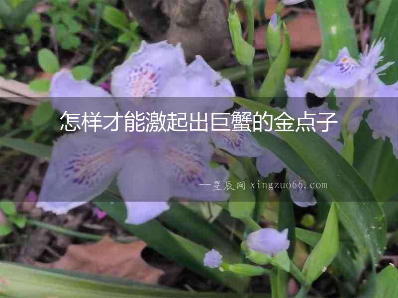 怎樣才能激起出巨蟹的金點子