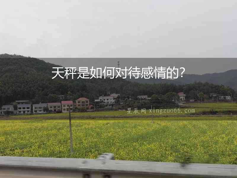 天秤是如何對待感情的？
