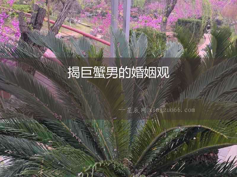揭巨蟹男的婚姻觀