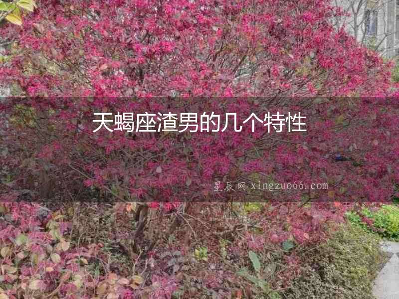 天蝎座渣男的幾個特性