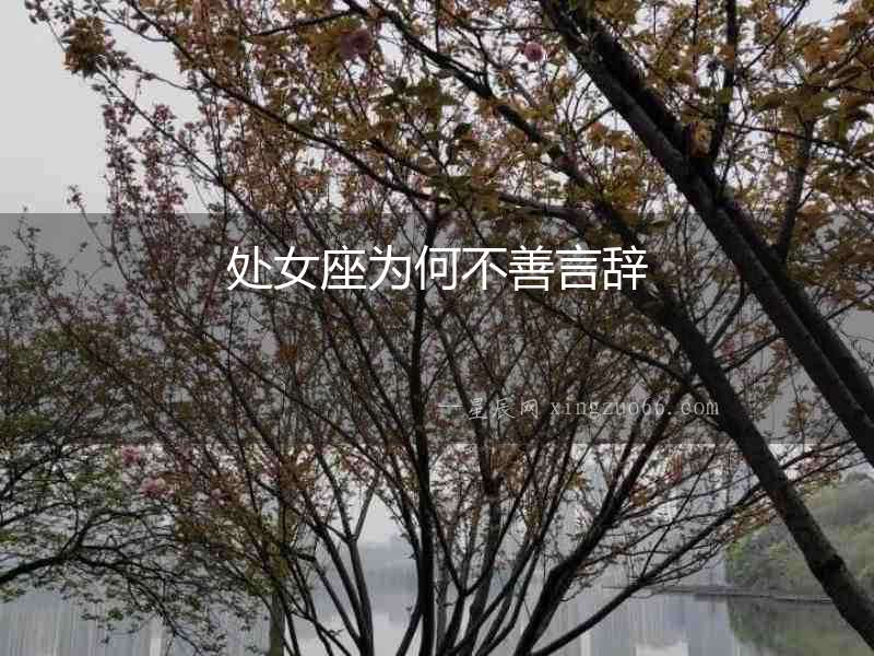 處女座為何不善言辭
