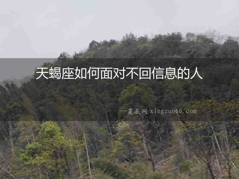 天蝎座如何面對不回信息的人