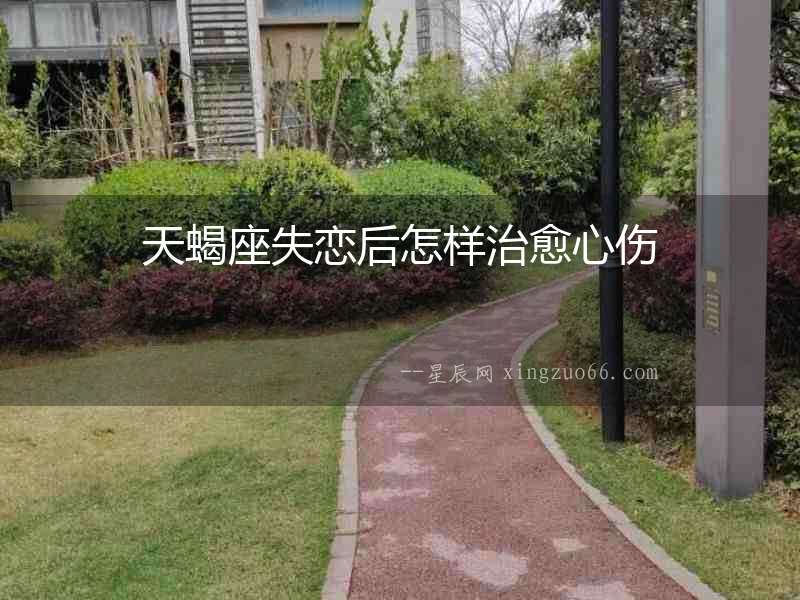 天蝎座失戀后怎樣治愈心傷