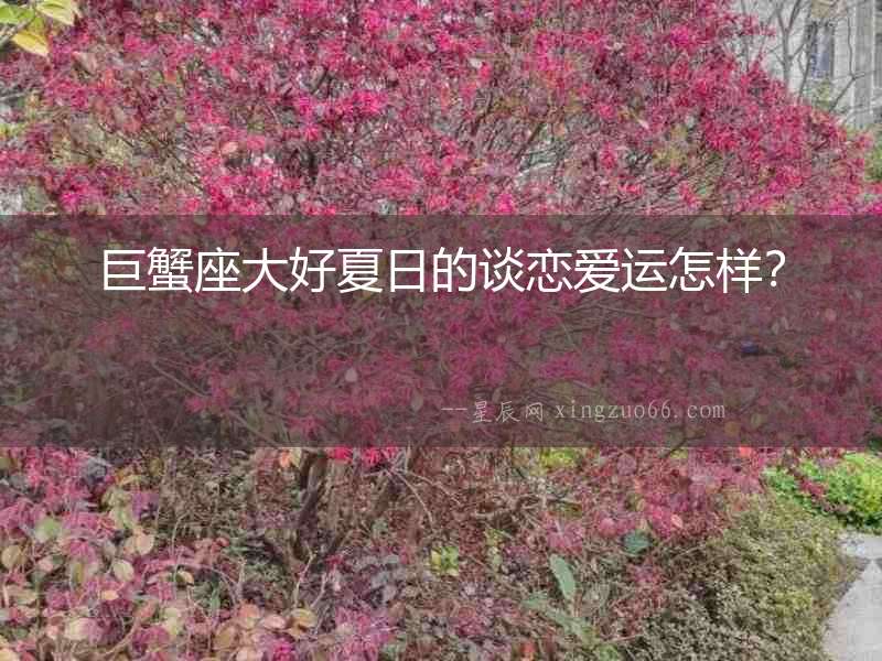 巨蟹座大好夏日的談戀愛運怎樣？