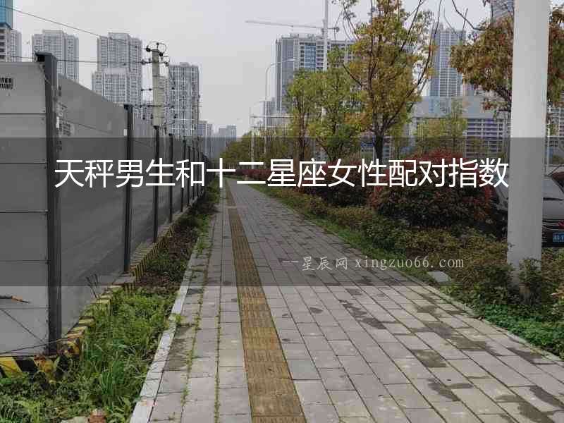 天秤男生和十二星座女性配對指數(shù)