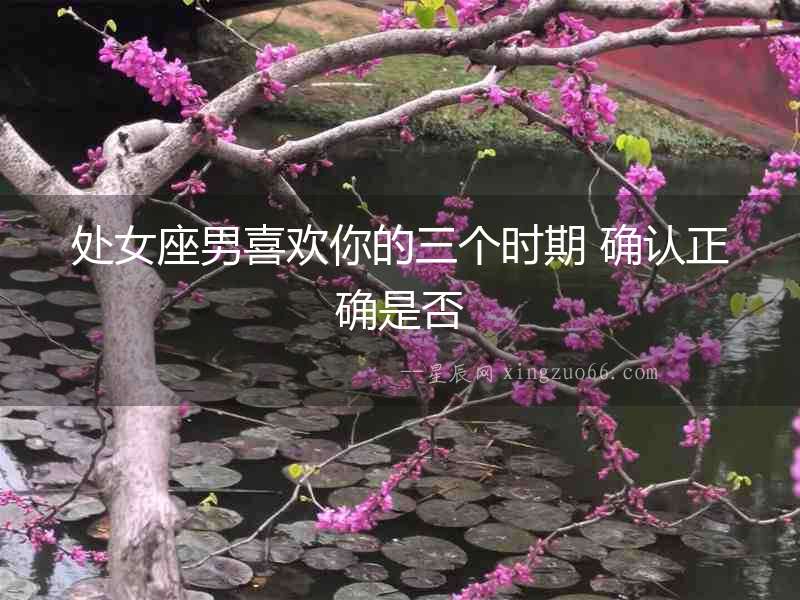 處女座男喜歡你的三個時期 確認正確是否