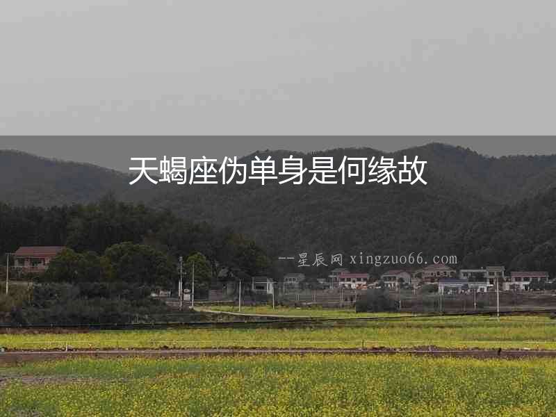 天蝎座偽單身是何緣故
