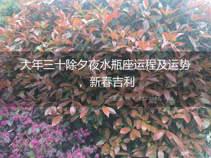 大年三十除夕夜水瓶座運程及運勢，新春吉利