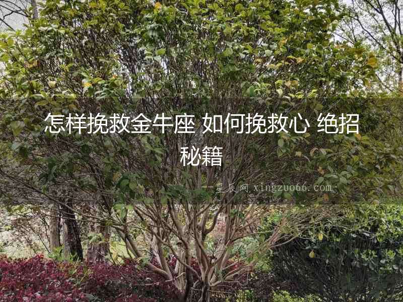 怎樣挽救金牛座 如何挽救心 絕招秘籍