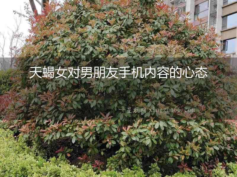 天蝎女對(duì)男朋友手機(jī)內(nèi)容的心態(tài)