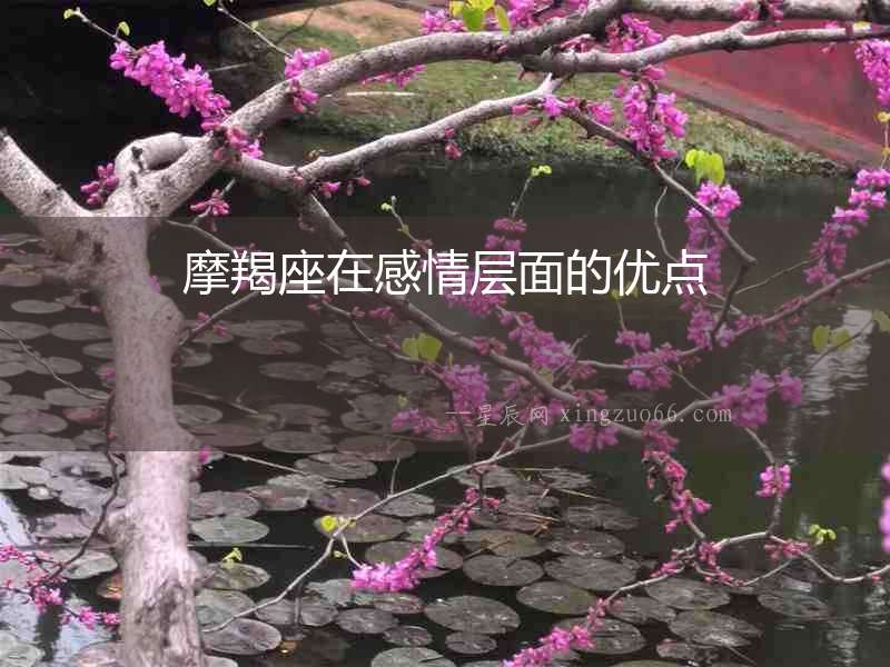 摩羯座在感情層面的優點