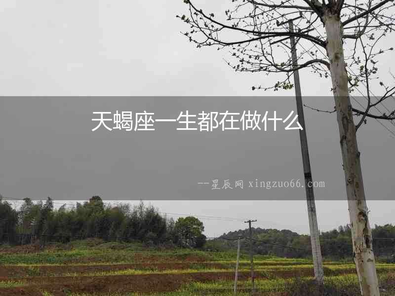 天蝎座一生都在做什么