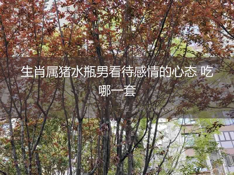 生肖屬豬水瓶男看待感情的心態(tài) 吃哪一套