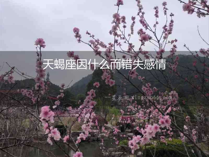 天蝎座因什么而錯(cuò)失感情