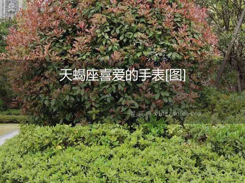 天蝎座喜愛的手表[圖]