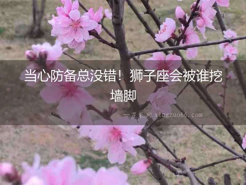 當(dāng)心防備總沒錯！獅子座會被誰挖墻腳