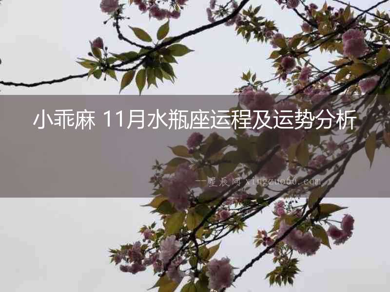 小乖麻 11月水瓶座運程及運勢分析